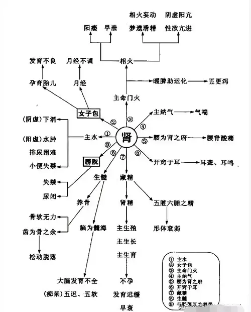 中医教你如何诊断五脏病(简单学会五脏的辨证和常见情况)