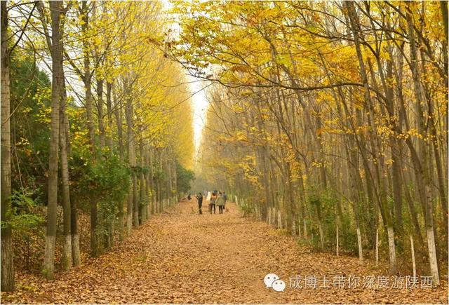西安80户外<a href=https://maguai.com/personal/ target=_blank class=infotextkey><a href=https://maguai.com/group/ target=_blank class=infotextkey>微信群</a></a>:西安<a href=https://maguai.com/list/52-0-0.html target=_blank class=infotextkey>旅游</a>景点对老年人怎样收费？