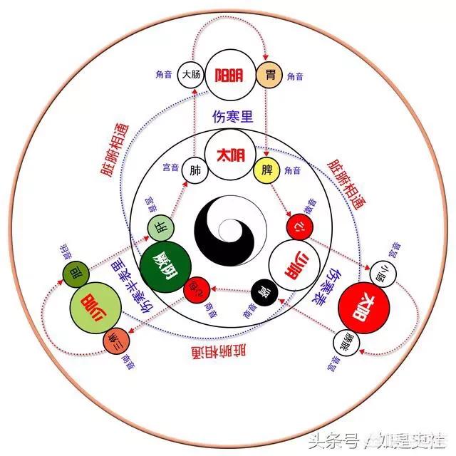五运六气中的五音：宮、商、角、徵、羽的基础内容是什么