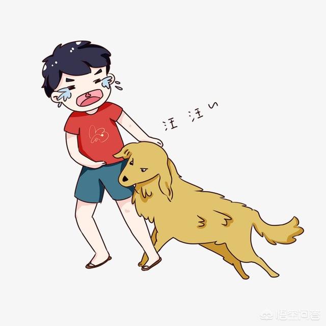 k9工作犬论坛:“男子打死咬伤女友的狗却被抓”，你觉得有道理吗？