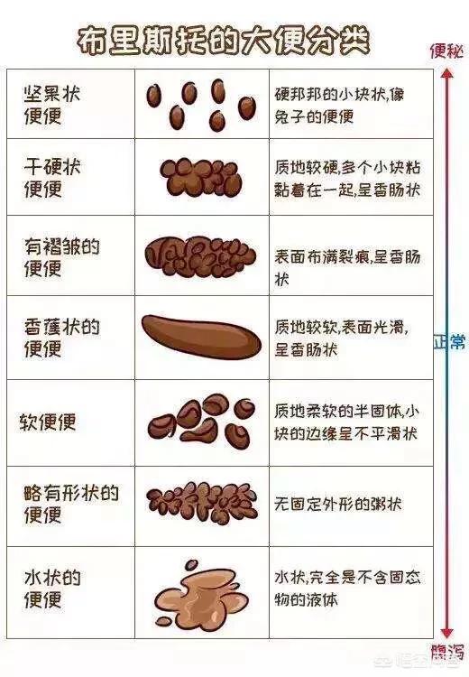 新生儿果酱样大便是什么原因:新生儿果酱样大便图片 新生儿肠绞痛一般都是怎么处理？