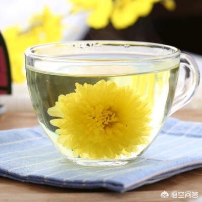 决朋子和菊花能一起泡茶吗，有哪些功效？