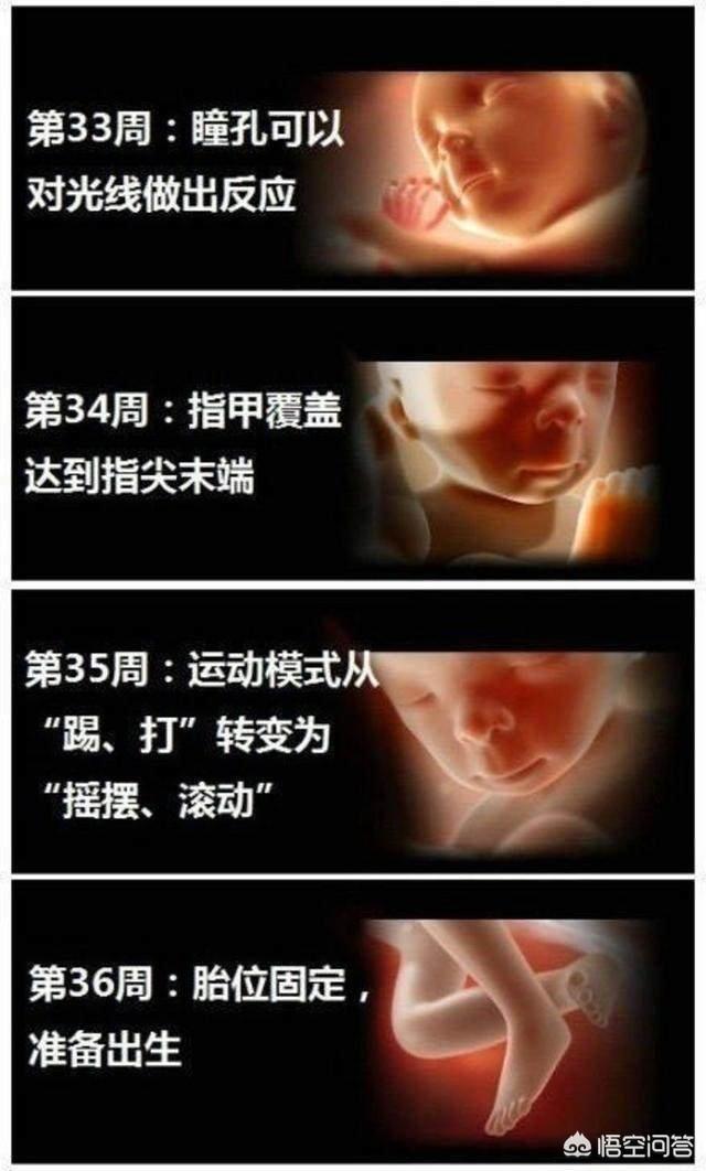 婴儿变化过程是什么样子的？