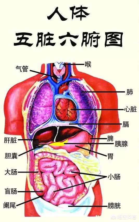头条问答 - 原来脚底的皮很厚,突然变薄了是怎么回事?(15个回答)