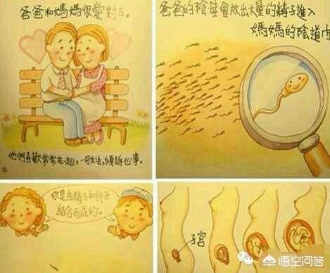 苏珊与狗狗在线观看:你觉得性教育有没有必要？