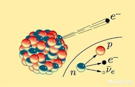 爆炸蚂蚁:我们人类是不是被高等圈养者放到地球上的生物？