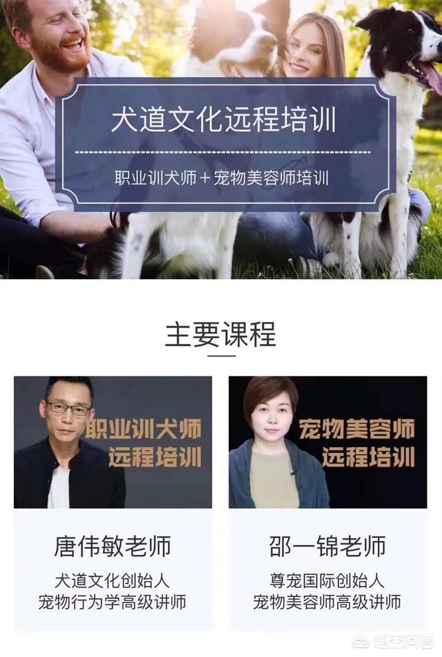 训犬师培训学校:去哪里可以学习当一名训犬师？