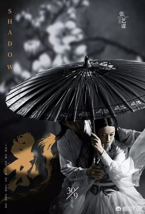 电影《影》结局什么意思？夫人为什么那么害怕？