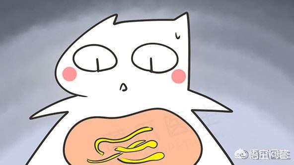 头条问答 - 蛲虫病的感染方式是怎样的?(4个回答)