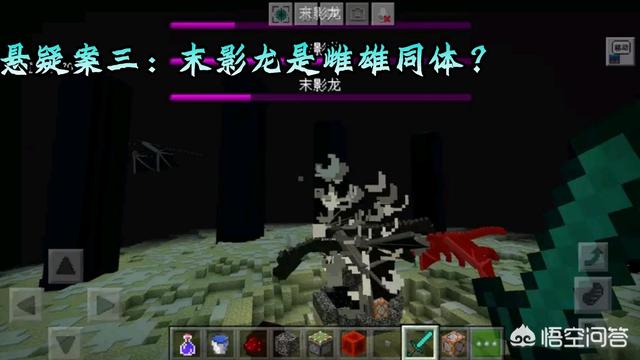 我的世界大灵异事件:在《我的世界》游戏当中，有哪些未解之谜至今没有解释？