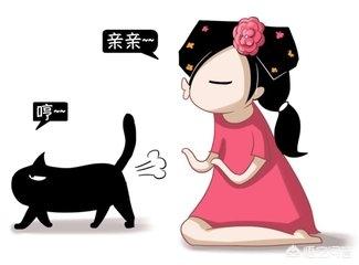 国产蓝钻猫砂:走路不稳的小猫怎么用猫砂？