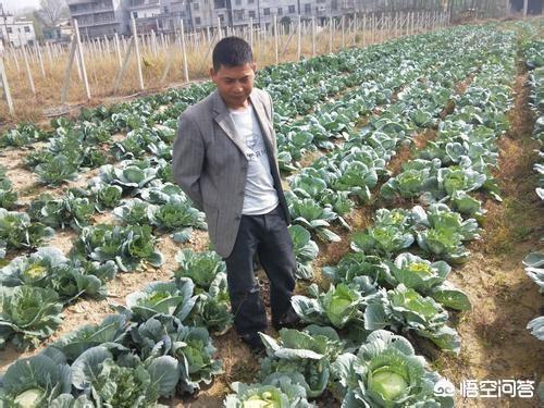 对我家村里的无赖咋办？