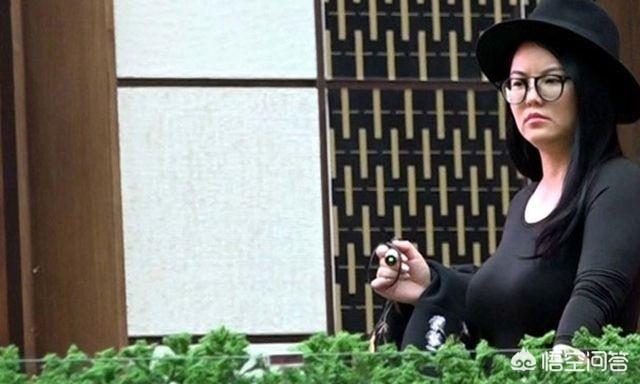 李湘简历:主持人李湘现在的收入来源是什么？