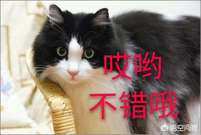 换个网名换个心情的微信名字:有些人频繁换头像、换网名是什么心理？