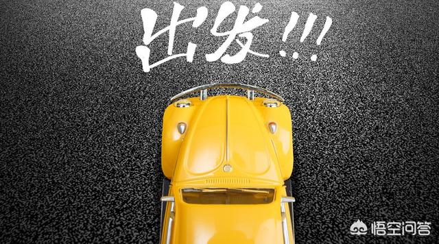 皮卡丘角蛙的寿命有多长时间:50岁了还有必要考驾照买车吗？