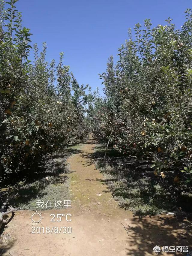 农产品滞销,中间的流通环节费用高,去掉中间环节行吗？