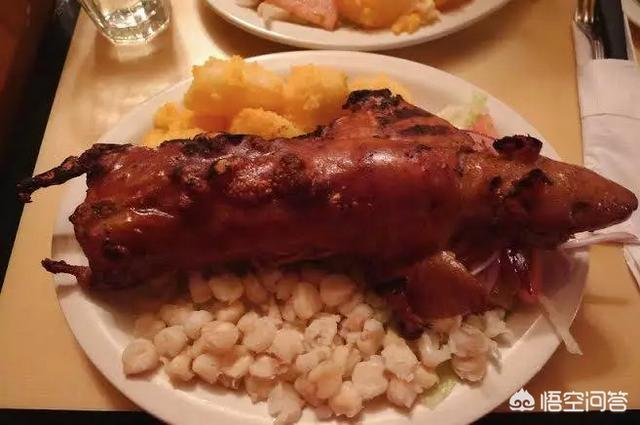 食用黑豚鼠价格:荷兰猪能吃吗？该怎么烹饪？