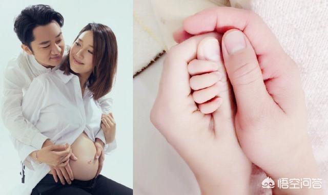 郑嘉颖陈凯琳结婚:2018年有哪些明星怀孕了？