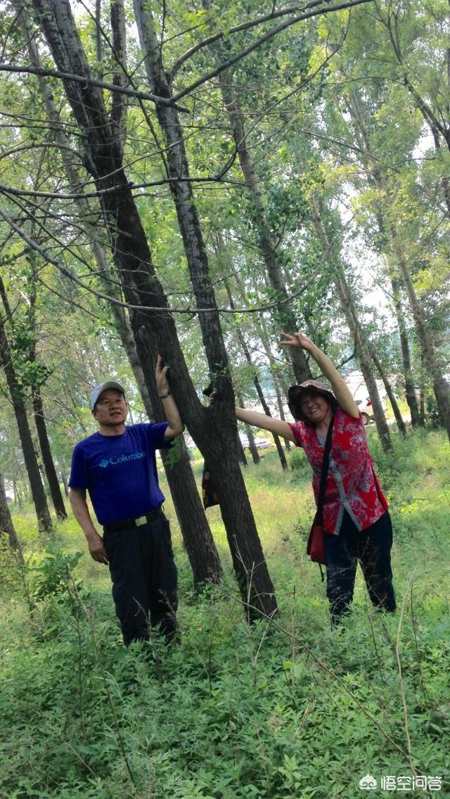 男生气质微信名:有气质的男人是什么样子的(气质好的男人什么感觉)