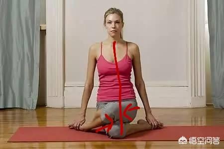 瑜伽狗:瑜伽体式里面怎么区分开髋和闭髋？