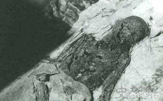 黄浦江里有多少尸骨，那些已经开挖或者开棺的帝王遗体是怎么处置的，下落如何