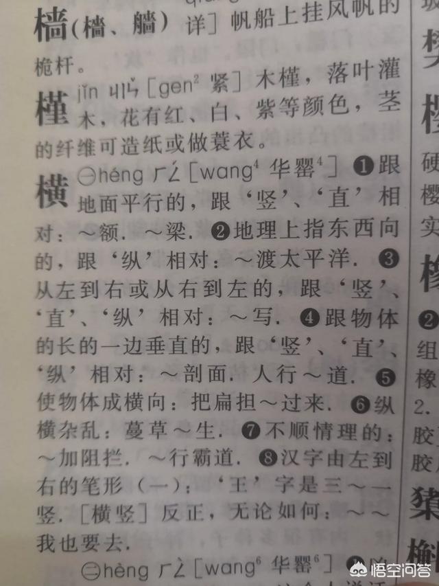 广东话的“宏”是读“云”音还是“横”音？为什么有些人读成“横”音？:嗡拼音 第2张