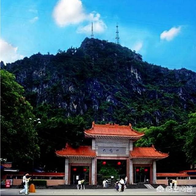 钦州有名贵木材吗？