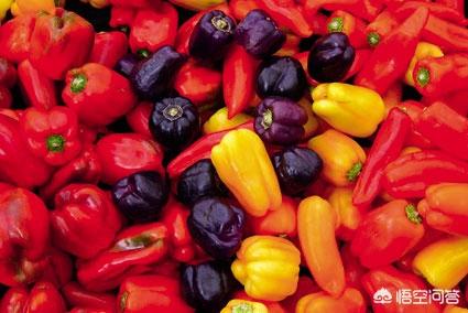辣椒是从拉美传入中国的，为什么感觉中国人比