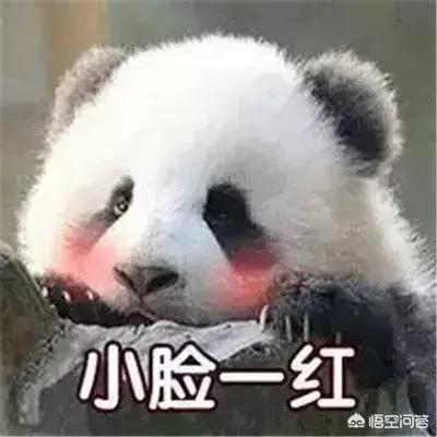 为什么网剧《镇魂》这么受欢迎？:bl调教受一直带道具 第10张