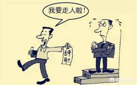 敢于辞职的原因有哪些？