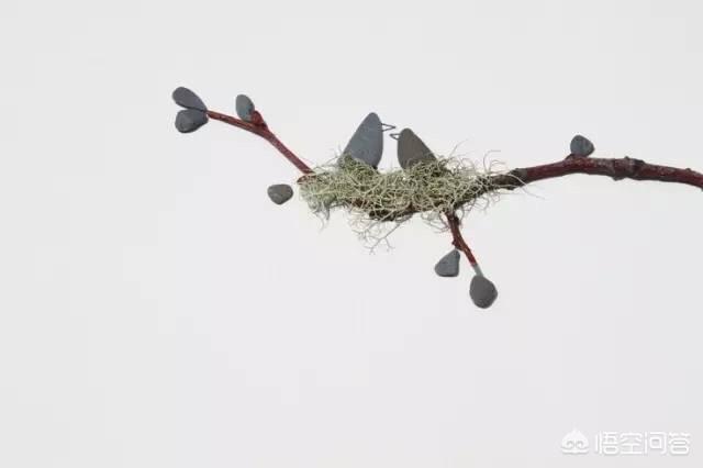 没有前任4:网传前任四即将“上映”，你想到了什么？