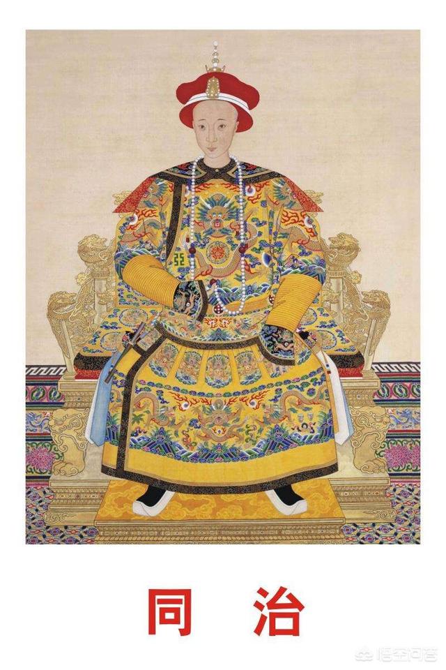 你认为清朝十二帝（算上努尔哈赤和皇太极）中哪个皇帝最命苦？