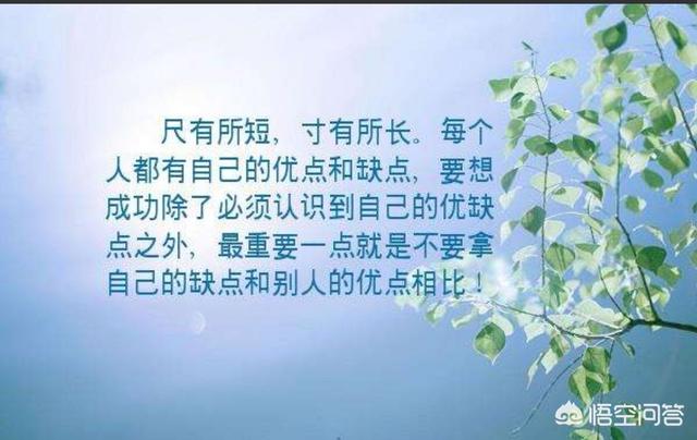 你觉得自己的优点是什么,缺点又是什么？
