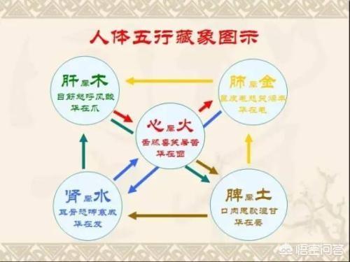 朋克养生真的有益吗，“今天不养生，明天养医生”，你认为这话对吗