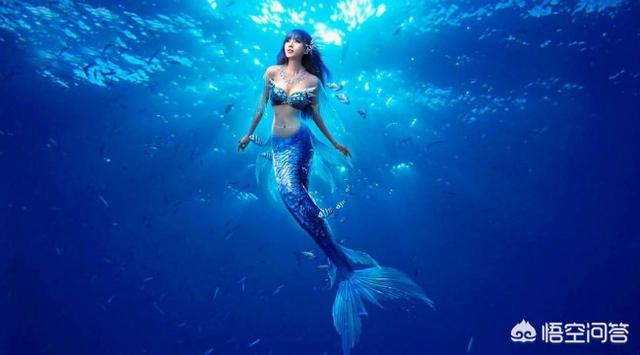 广东出现罕见美人鱼？，美人鱼真的存在于海洋中吗？