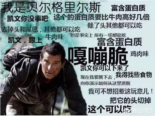 作为野外生存专家,贝爷和德哥谁更厉害？
