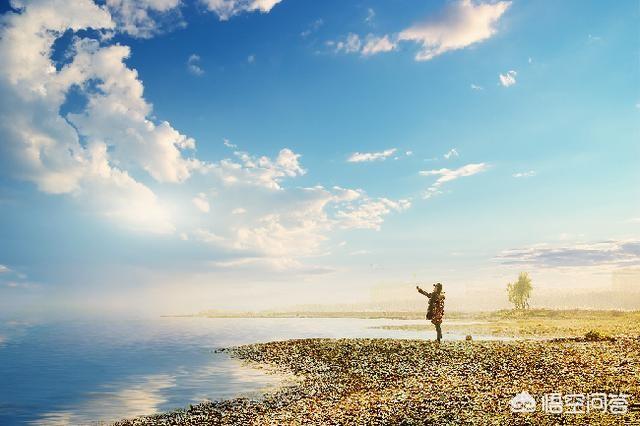 头条问答 - "诗与远方","生活与苟且",你会选哪一个?(7个回答)