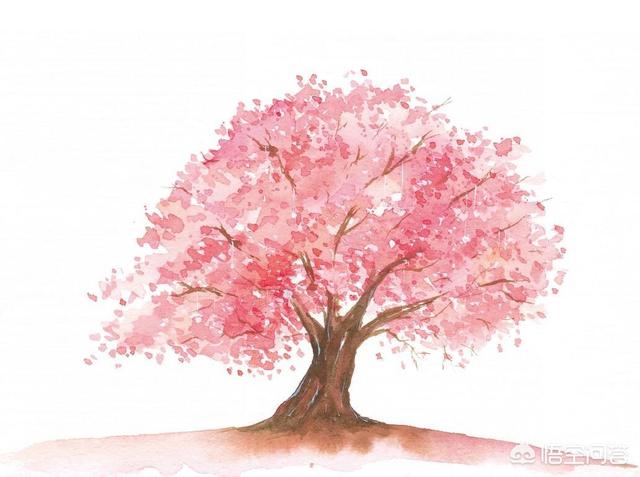 粉色的树简笔画图片