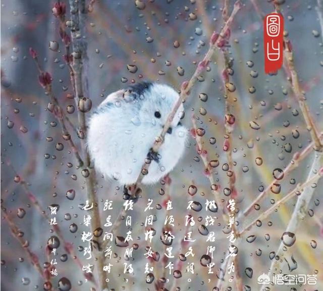 做图片的网站,有个二维码可以做图片的网站