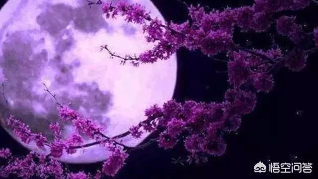 《十五夜望月》这首诗前两句写景,写出诗人怎样的形象和心境？