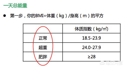 如何算出自己一天所需的碳水、蛋白质、脂肪的克数？怎么选择食物并分配至每一餐？