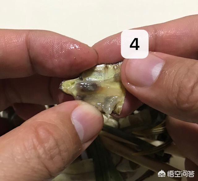 头条问答 - 蟹黄是不是螃蟹的大便?如何识别蟹黄?(12个回答)