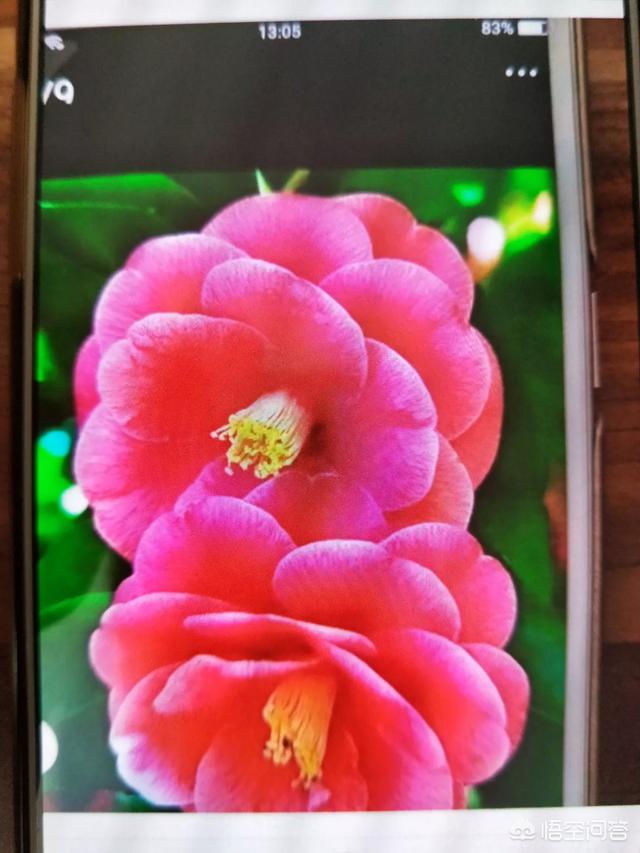 她的婚礼:前任邀请你去参加她的婚礼，并让你唱一首歌，你会唱哪首？