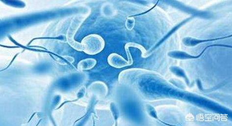 吃什么能增强性功能(吃什么能增强性功能最有效)