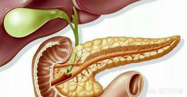 胰腺炎的症状:胰腺炎的症状及治疗 胰腺炎都会疼痛吗？胰腺炎有哪些症状？
