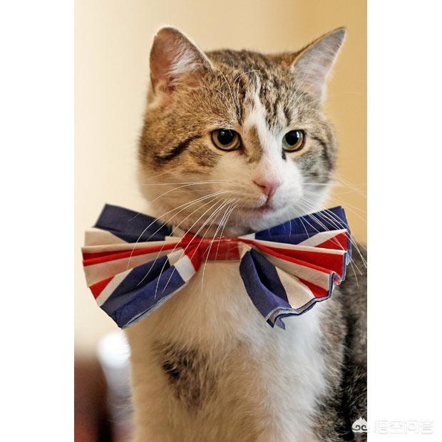 英国工业革命:为什么英国先发起的工业革命，但却被德国赶上了呢？