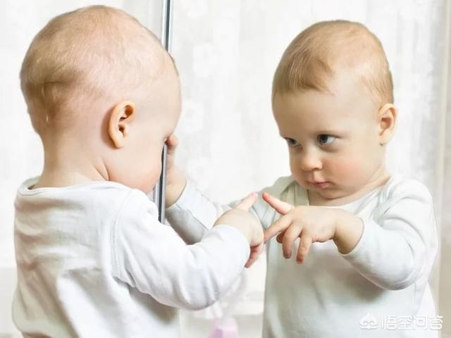 动物百科全书:动物百科全书图片 各种动物知道自己是什么动物吗？为什么？