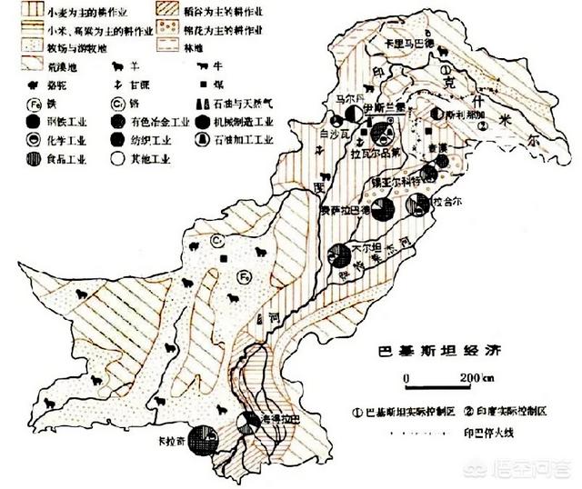 巴基斯坦沙猫:巴基斯坦到底是一个怎样的国家？