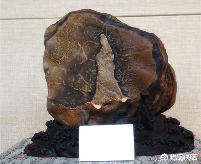 石头里怎么找玉石,寻找天然奇石需要具备哪些条件？