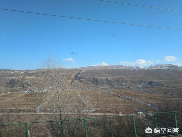 光棍节是哪一天(光棍节是哪一天哪一日)